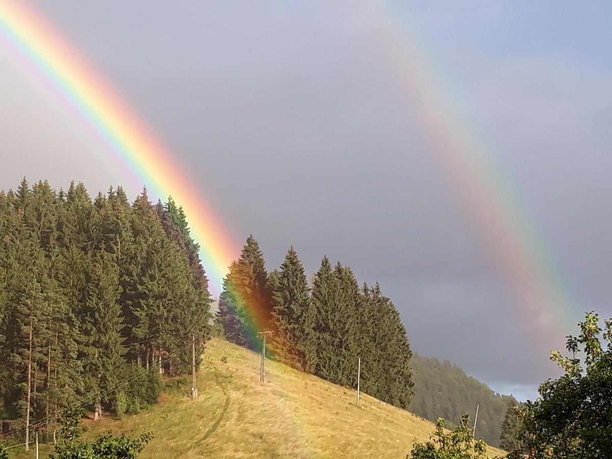 Apartmány Smrečie Bukovina  Exteriér fotografie